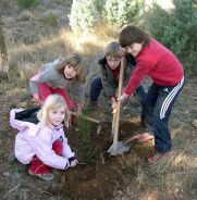 Replantando un fallo en las eras del cementerio