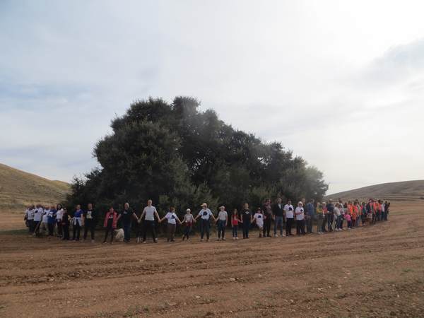 Día de la carrasca del Carrascal de Blesa, 29 octubre 2022. Árbol singular.