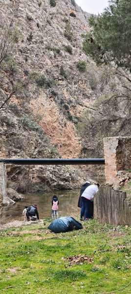 Día del árbol en Blesa 28 de febrero de 2026