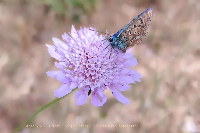 Ganadora del concurso de fotografía Blesa 2026.
