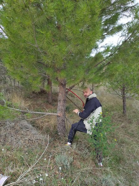 Día del árbol en Blesa 28 de febrero de 2026