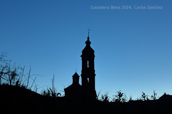 Foto ganadora del concurso Blesa 2024.